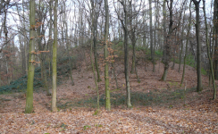 Hügelgräberfeld im Schandorfer Wald  (Schandorf)