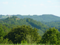 Burgruine Neuhaus (Neuhaus am Klausenbach)