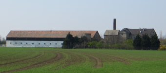 Wallfk. Maria Zeiselhof  (Deutsch Jahrndorf)