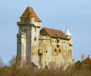 Burg Liechtenstein (Maria Enzersdorf)