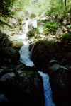 Vordere Tormäuer mit Trefflingfall (Puchenstuben)