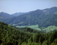 Ybbstaler Alpen (Hollenstein an der Ybbs)