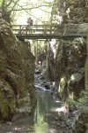 Johannesbachklamm und Berimoastakreuz (Würflach)