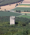 Burgruine Pottenburg (Wolfsthal)