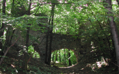 Burgruine Pottenburg (Wolfsthal)