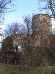 Babenbergerruine (Thunau) (Gars am Kamp)