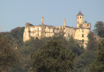 Burgruine Hohenegg (Hafnerbach)