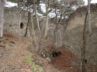 Burgruine Kammerstein (Perchtoldsdorf)