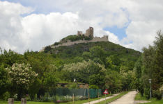 Burgruine Staatz (Staatz)