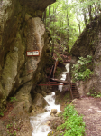 Steinwandklamm I (Furth an der Triesting)