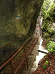 Steinwandklamm II (Furth an der Triesting)