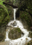 Steinwandklamm II (Furth an der Triesting)