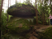 Kierlingstein und Lauschinsel (Wurmbrand) (Groß-Gerungs)