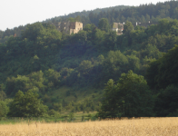 Burgruine Mollenburg (Weiten)