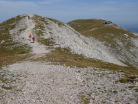 Schneeberg II (Puchberg am Schneeberg)