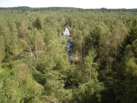 Naturpark Hochmoor (Schrems)