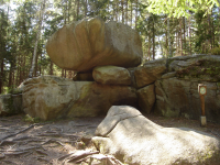 Naturpark Heidenreichsteiner Moor I (Heidenreichstein)