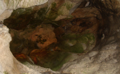 Tropfsteinhöhle (Alland)