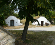 Kellergasse mit Weinbaumuseum (Prellenkirchen) (Prellenkirchen)