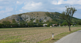 Hundsheimer Berge (Hundsheim)