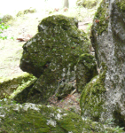 Teufelsmühlstein und Steinerner Stadel (Wöllersdorf-Steinabrückl)