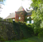 Burgruine und Schloss Karlsbach (Sankt Martin-Karlsbach)