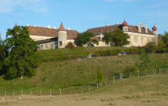 Schloss Weyerburg (Weyerburg/Hollabrunn)