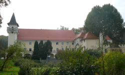 Schloss und Burgruine Sooß  (Hürm)