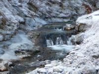 Falkenschlucht (Türnitz)