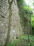 Burgruine Scharfeneck (Mannersdorf am Leithagebirge)