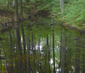 Naturpark Mannersdorf-Wüste (Mannersdorf am Leithagebirge)