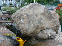 Der Riesenfisch im Ostrong (Münichreith-Laimbach)