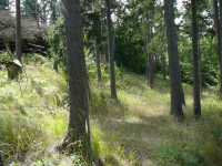 Ausgrabung Sand (Oberpfaffendorf)  (Raabs an der Thaya)