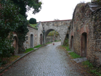 Kellergasse Frauenhofen (Sankt Bernhard-Frauenhofen)