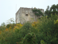 Burgruine Bertholdstein (Hollenburg) (Krems an der Donau)