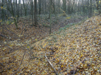 Türkenschanzen (Hornsburg) (Kreuttal)