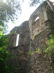 Kirchenruine hl. Pankraz  (Nöstach/Altenmarkt an der Triesting)