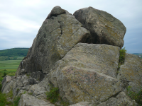 Kogelsteine und Fehhaube  (Straning-Grafenberg)