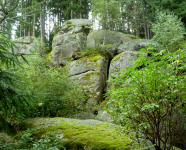 Naturdenkmal Hinterpocher  (Brand-Nagelberg)