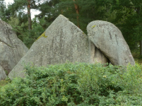 Naturpark Blockheide II (Gmünd in Niederösterreich)