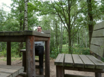 Naturpark Blockheide II (Gmünd in Niederösterreich)