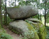 Naturpark Blockheide I (Gmünd in Niederösterreich)