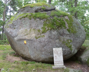 Naturpark Blockheide II (Gmünd in Niederösterreich)