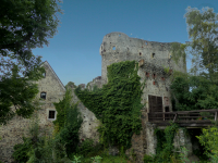 Burg Thomasberg  (Thomasberg)