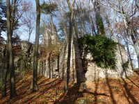 Burgruine Arnstein (Maria Raisenmarkt/Alland)