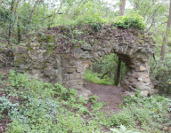 Burgruine Falkenberg  (Elsarn/Straß im Straßertale)