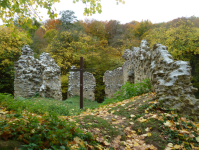 Klosterruine Paradeis  (Ried am Riederberg)