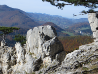 Kalksteinwand am Peilstein  (Neuhaus/Weissenbach an der Triesting)