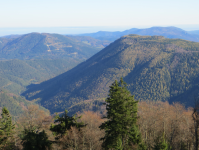 Observatorium am Traflberg  (Muggendorf)