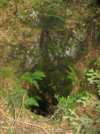 Erzloch am Öhler und die Dürre Wand (Puchberg am Schneeberg)